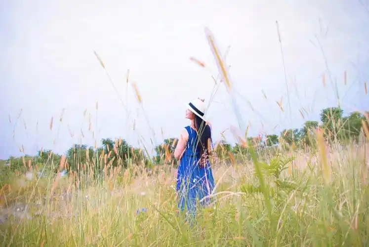 不如安然以对;既然耳根不净,不如清净自心;既然不能如愿,不如一笑释然