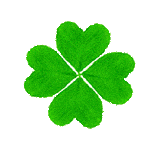 【星级毕业生】为了梦想执着追求