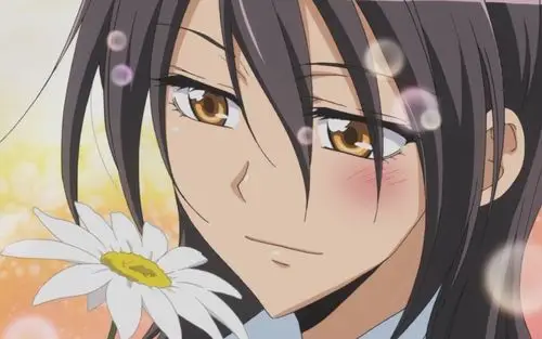 会长是女仆大人鲇泽美咲,高清壁纸图片,动漫人物-回车桌面