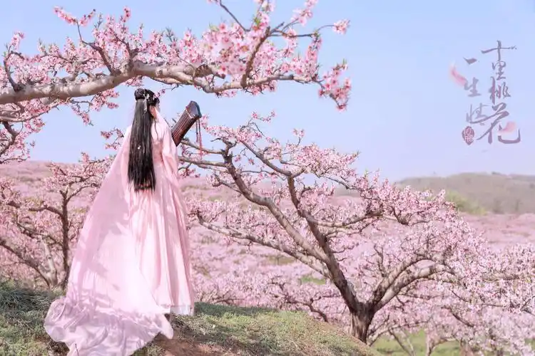 十里桃花一生情