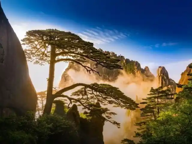 风景太美价格太高,我国游玩费用不菲的六大名山,你被哪一座坑过