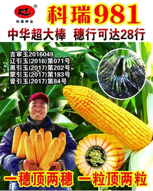 98tang在线无码-艾杏hd入口-艾杏-hd第一地址-艾杏hd 网址一