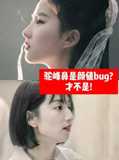 拥有驼峰鼻的女明星,最美丽的莫过于神仙姐姐刘亦菲了.