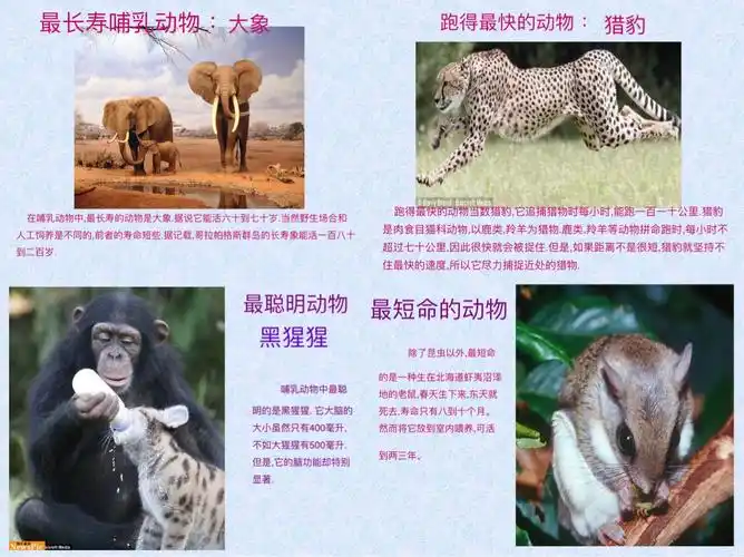 世界动物之最—记二(4)班三月家长微课