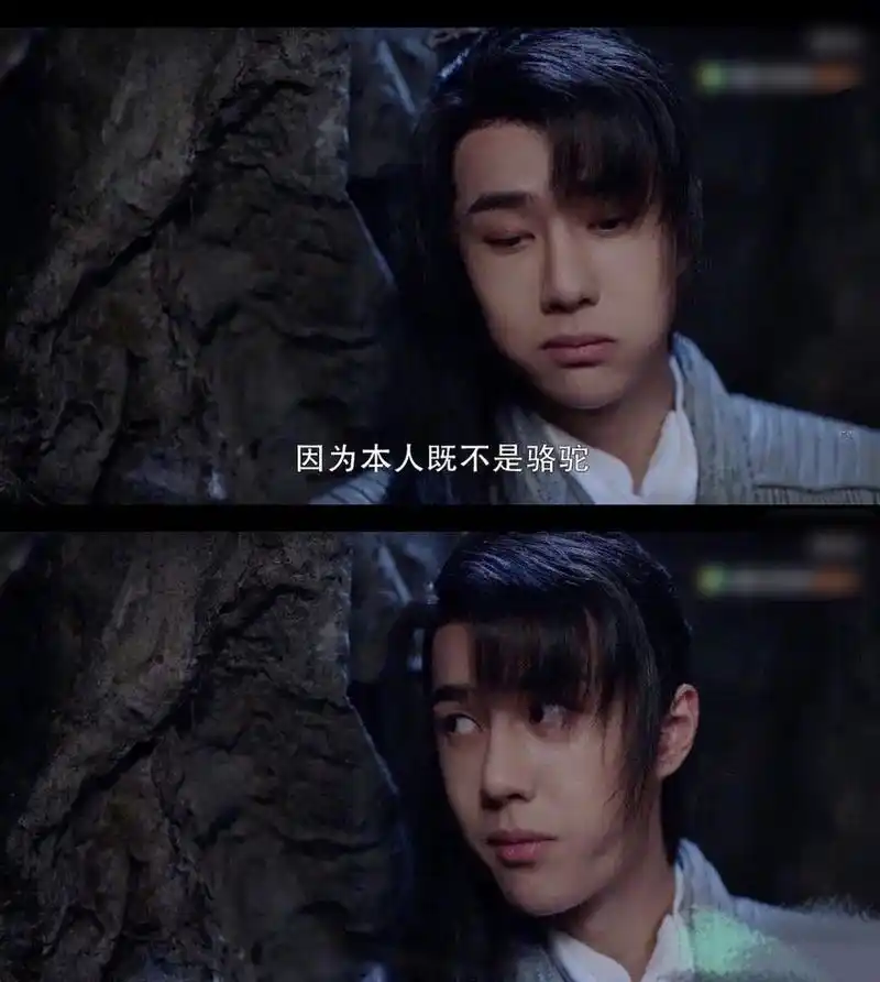 王一博亲自下场拆cp:本人既不是骆驼 也不是王八