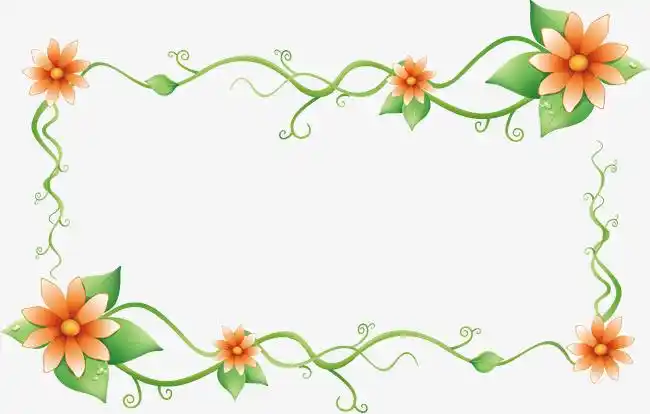 藤边框花朵边框矢量图