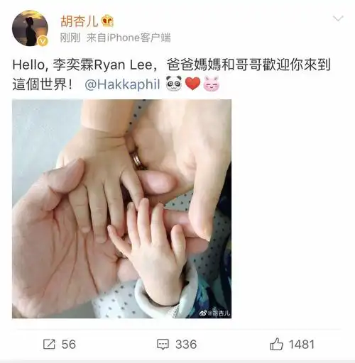 胡杏儿二胎再生男孩,晒一家四口牵手照好幸福