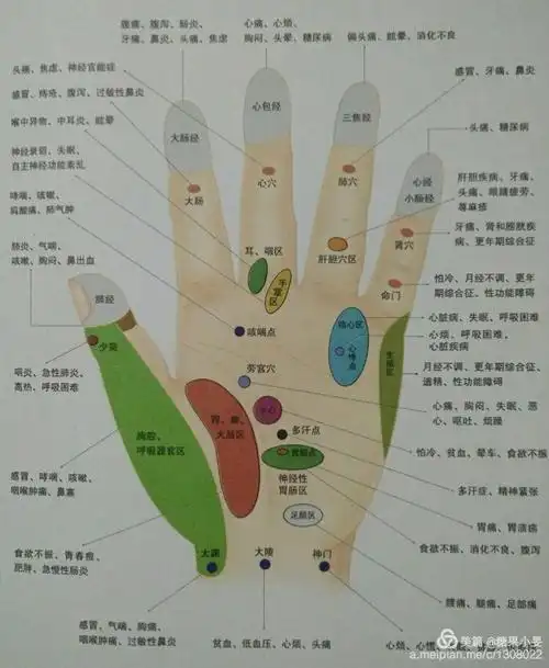 观手知健康2016,5,13日-5,17