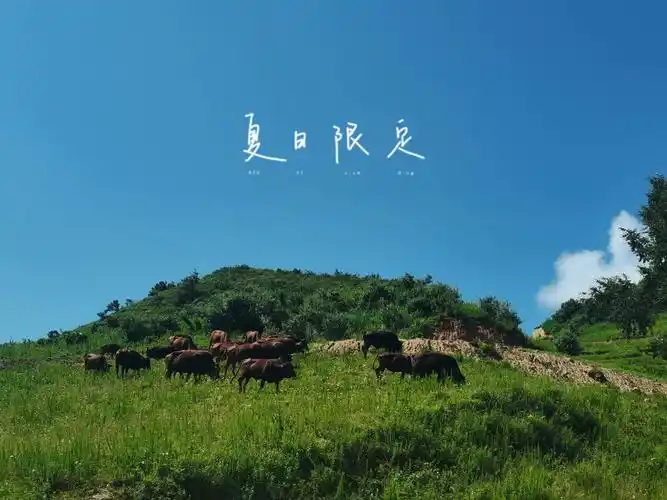 蓝田流峪寺村高山草甸