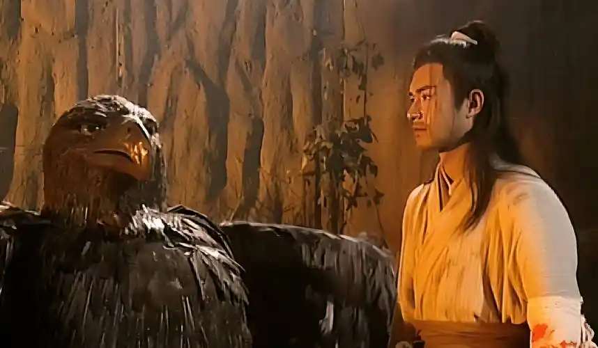 神雕视杨过如兄弟,为何不传他独孤九剑?