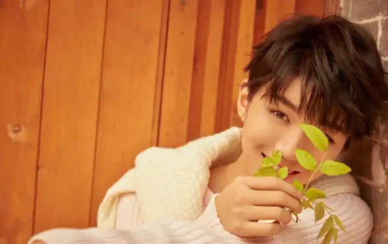 tfboys王俊凯新歌《我的》海报图片