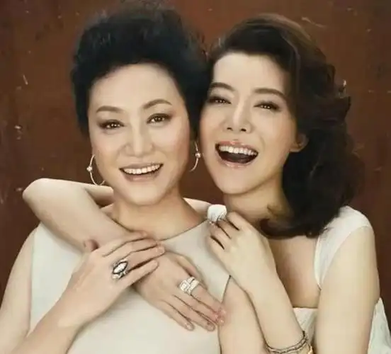 王丽云和车晓母女俩先后离异至今都是单身她们在追求什么