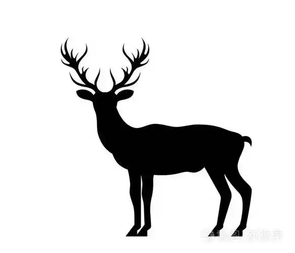 剪影鹿鹿白色背景上孤立的驯鹿