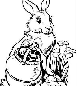 可爱小动物简笔画加装饰图片有哪些动物黑白线条简笔画儿童动物装饰画