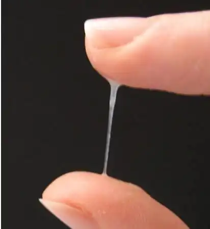 排卵期如何精确计算你只要记住这两招