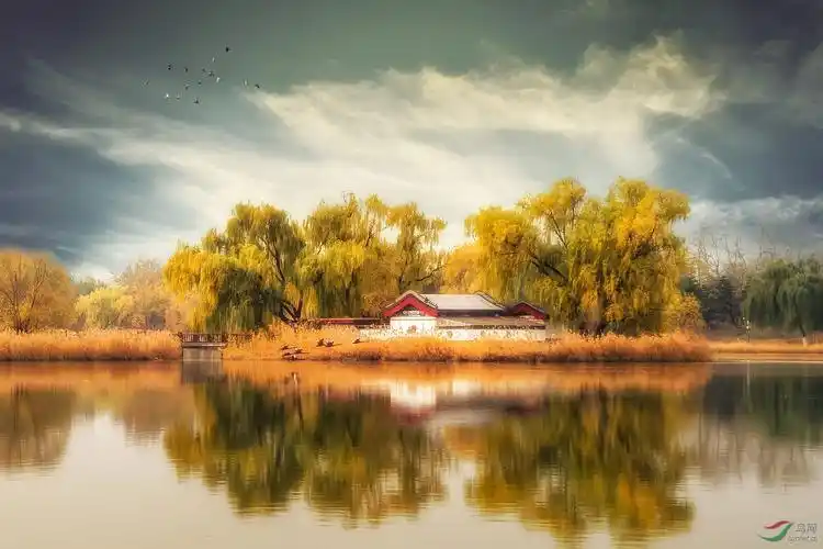 圆明园40景之一蓬岛瑶台现状