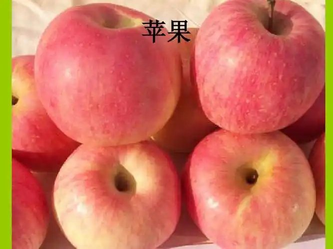 水果名称图片收集