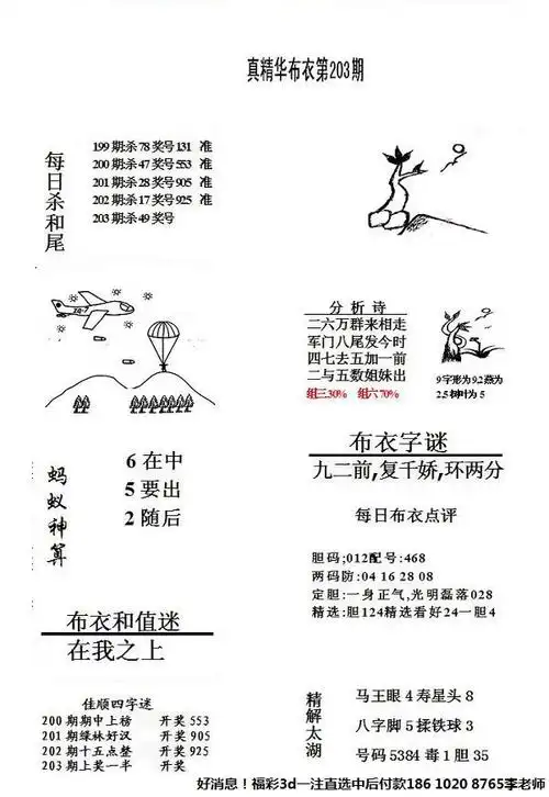 真精布衣203期3d正版布衣天下123456