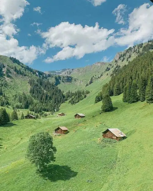 风景壁纸|瑞士|草原