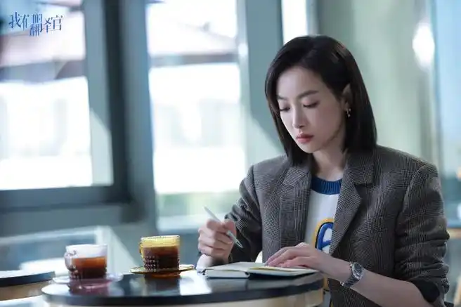 宋茜我们的翻译官