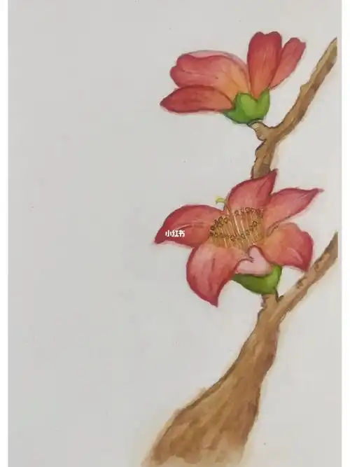 自学水彩画第十八张木棉花
