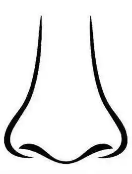 人体五官简笔画鼻子