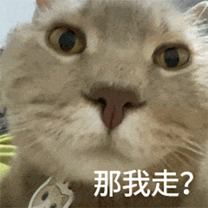 我很丑吗猫咪呕吐表情包啊?就这?