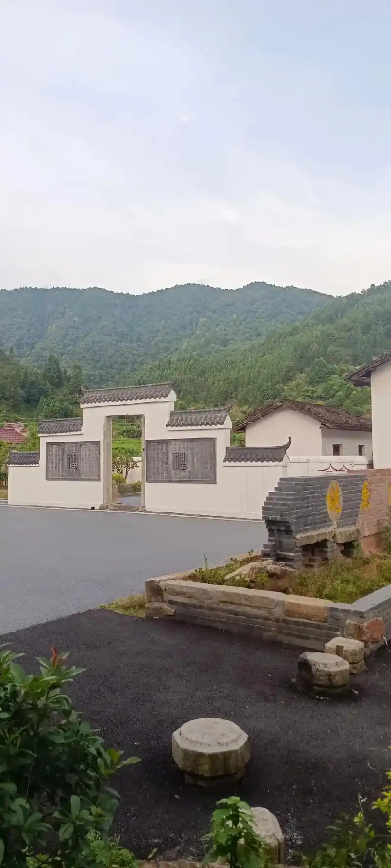 黄桃园灯光整上了,桃香引来了林下野猪 - 抖音