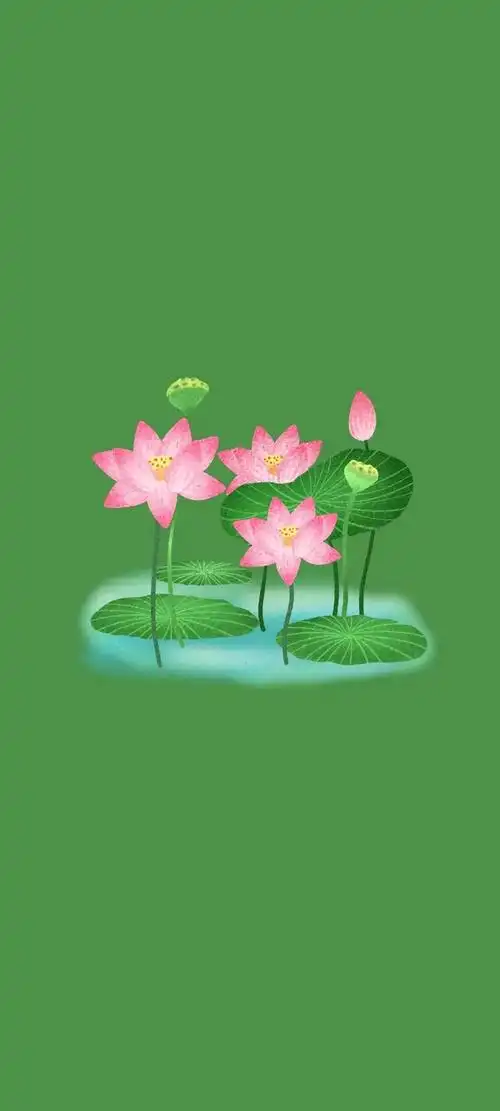 清新绿色护眼荷花壁纸