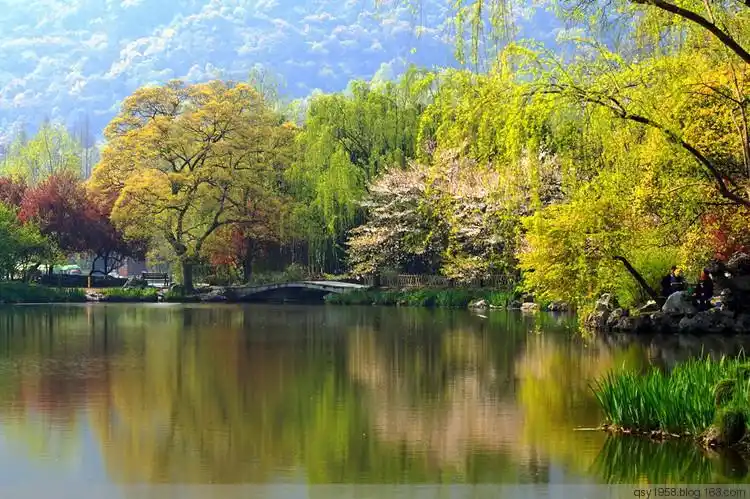 【江南美景】杭州西湖柳浪闻莺