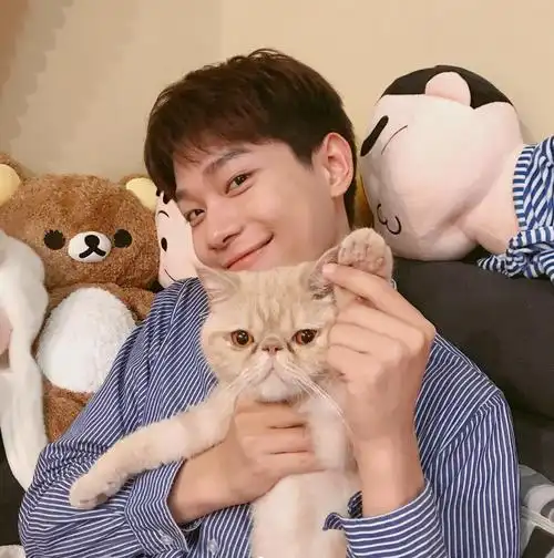 笑起来超甜的干净男孩感觉他的笑容能治愈一切呢