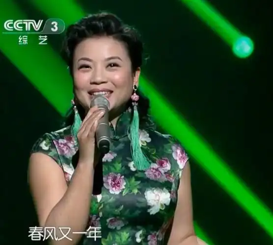 年轻时,据说张也曾和大自己11岁的关锦鹏有过一段婚姻.