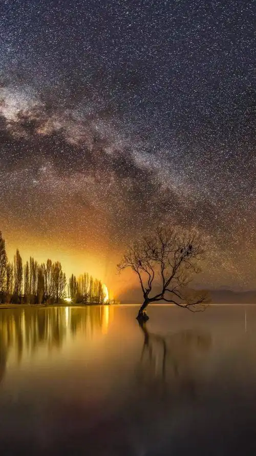 唯美树影背景,高清图片,手机锁屏桌面-壁纸族