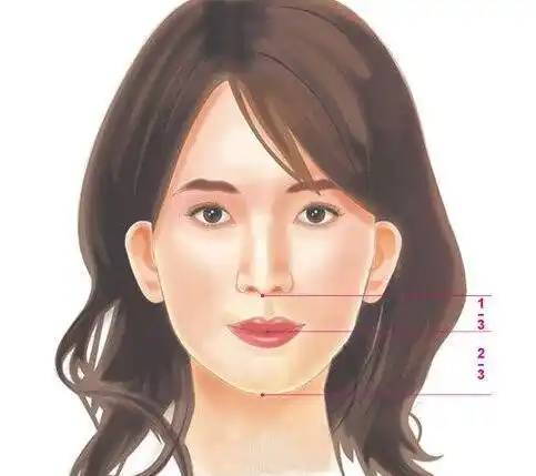 2,理想下巴的位置