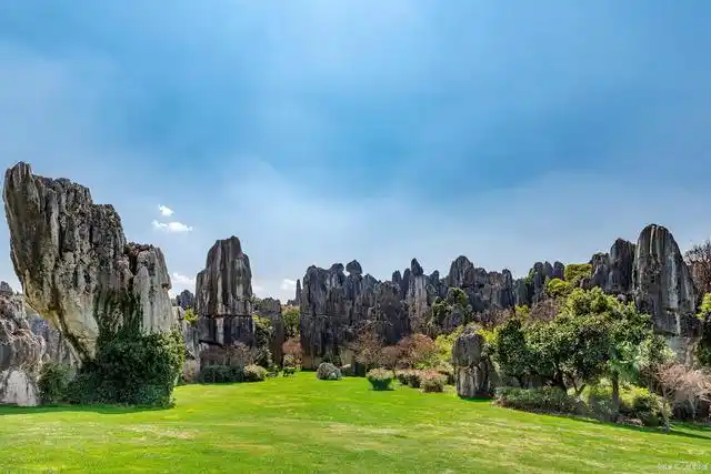 云南石林是什么地貌你知道吗?它是最多样化的典型喀斯特地质地貌