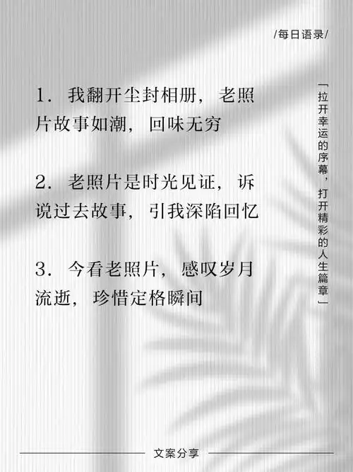 老照片里的故事,回味无穷