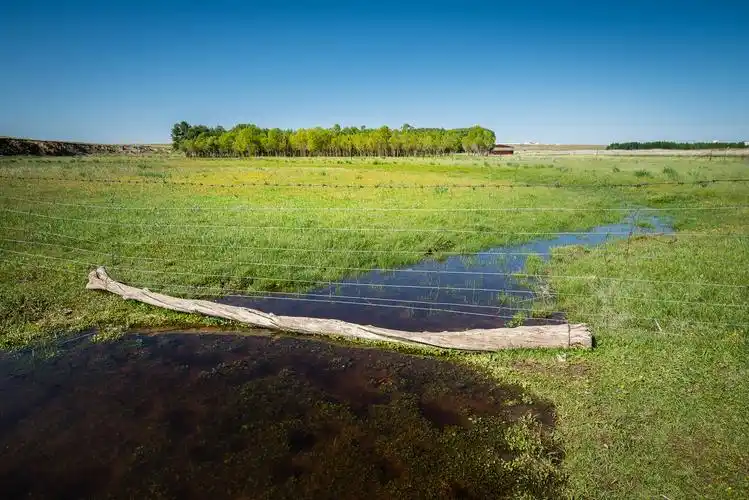 库布齐沙漠&希拉穆仁大草原