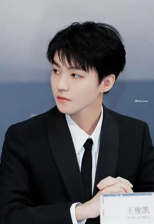 王俊凯有多少粉丝2020,王俊凯有多少粉丝?