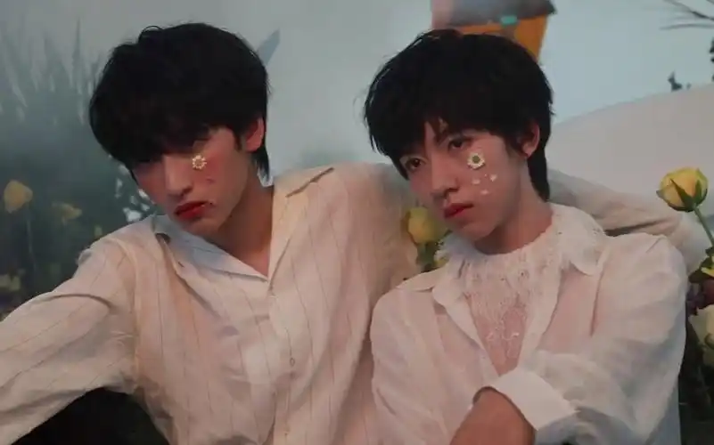 【翔霖】双生cover&合作舞台合集(更新至"做我的猫")高清纯享版