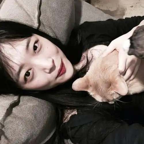 韩潮女星崔雪莉头像集