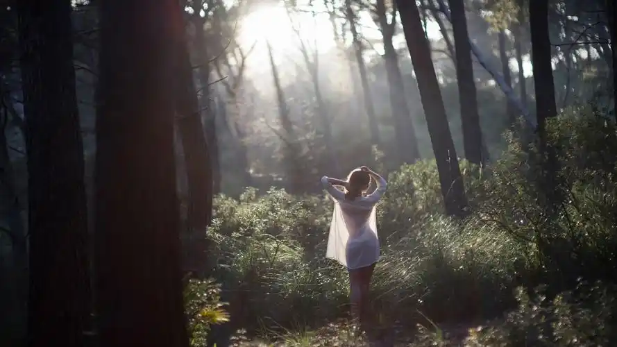 女孩背影白色裙子姿势森林早上阳光意境唯美壁纸