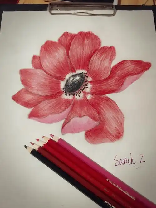 彩铅手绘