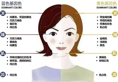 用「暖色」更好看;冷色调肤色的人,更适合「冷色」(具体见下图色卡)