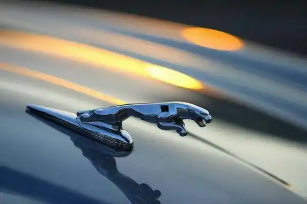 捷豹车的豹标是什么材料做的