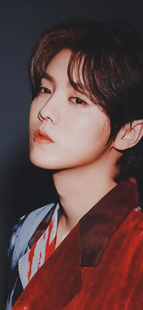 全屏壁纸男生真人帅气鹿晗