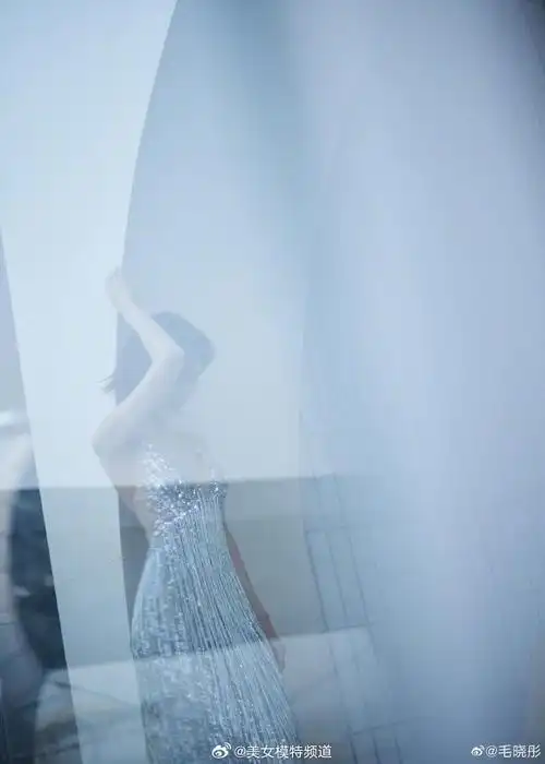 毛晓彤晒银色礼裙美照 流苏亮片包裹完美身形性感优雅