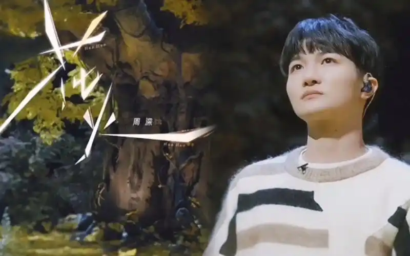 周深翻唱《花火》每一次挫折都会成为我们走向成功的垫脚石