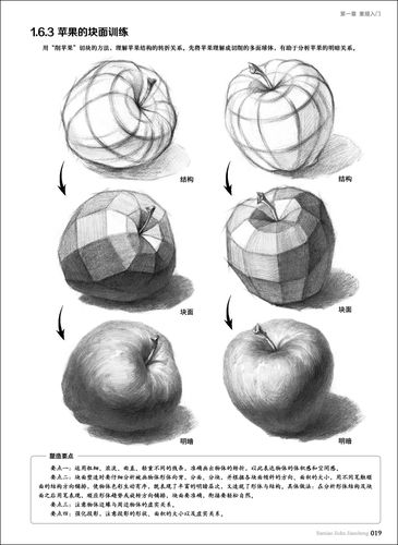 石膏几何体头像色彩静物入门自学零基础绘画教程4石膏头像素描基础