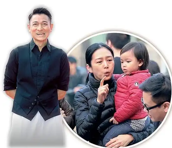 为什么刘德华会选择朱丽倩作为妻子