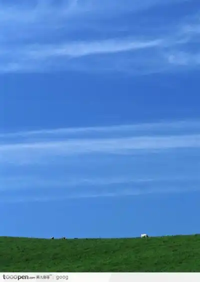 蓝天白云下的草地